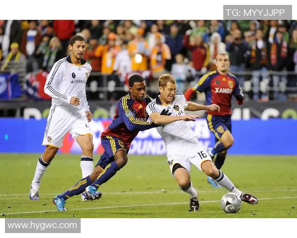 夏洛特黄蜂与森林狼激战正酣谁将赢得这场精彩对决的胜利